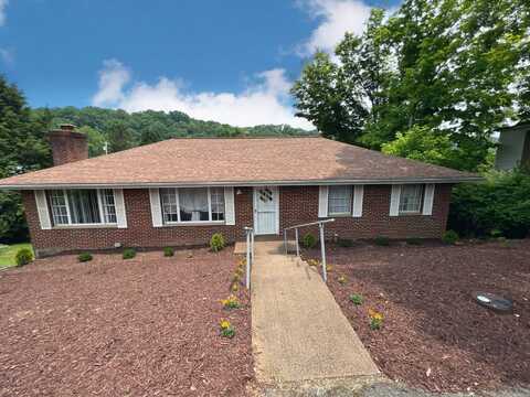 102 S Chestnut St, Sutton, WV 26601