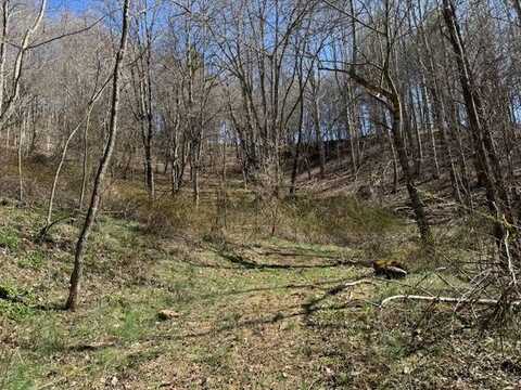 TBD- Birchfield Creek Road, Newland, NC 28657