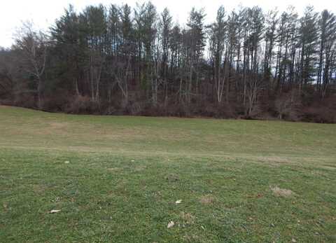 Lot A Westfall Division, Harrisville, WV 26362