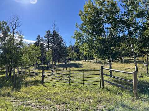 2489 Homestake Place, Florissant, CO 80816