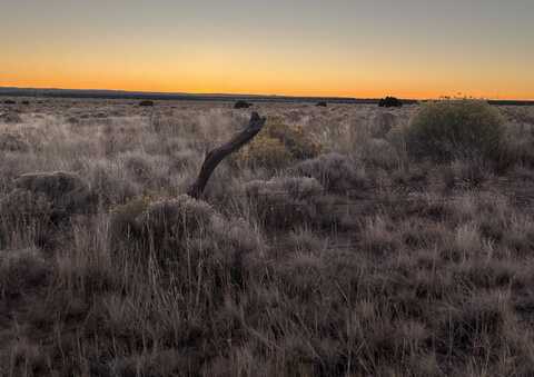 00 CR 35F, Fence Lake, NM 87315