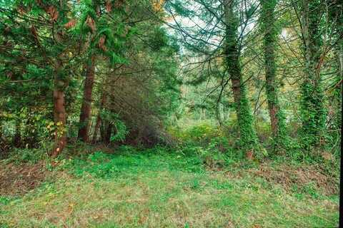 Lot 9 Culp Court, Point Roberts, WA 98281