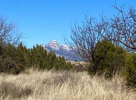 00 Temporal Canyon, Patagonia, AZ 85624