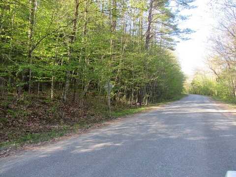 Lot #2 Griffin Rd, Wells, NY 12190