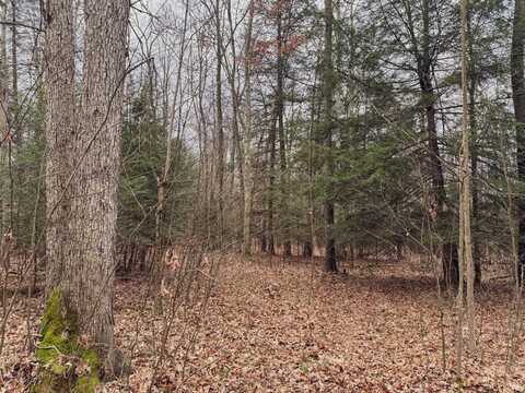 0 Whitewater Preserve, Bruceton Mills, WV 26525