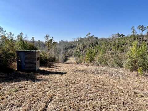 0 County Road 63, Valley Grande, AL 36701