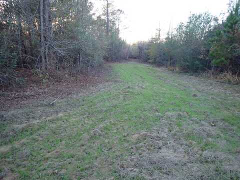 0 Hwy 14 - Tract 1 Green Street, Marion, AL 36756