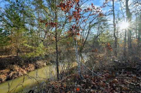 Tract 18 Painted Blunting Trail, Smithville, OK 74957