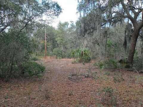 00000 NE 213th Place, Fort Mc Coy, FL 32134