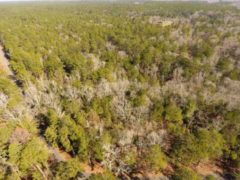 TBD Castor Plunge Road, Woodworth, LA 71485