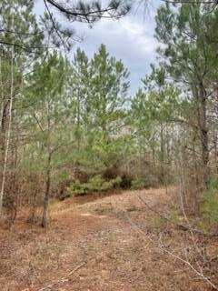 19450 Attala Rd 3122, French Camp, MS 39745
