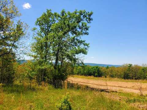 Lot B E 1630 Rd, Talihina, OK 74571