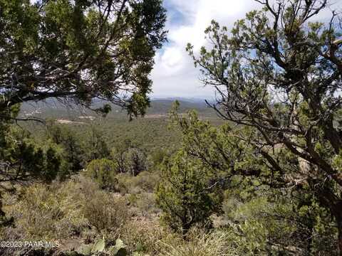 Lot 363 Big View Trail, Ash Fork, AZ 86320