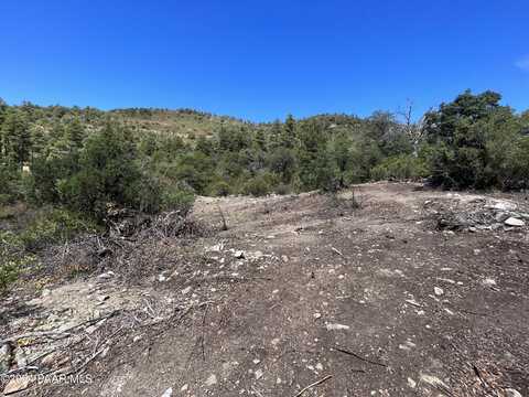 E Laurita Road, Crown King, AZ 86343