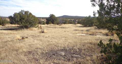 00 N Trackside Trail 211 Lane, Ash Fork, AZ 86320