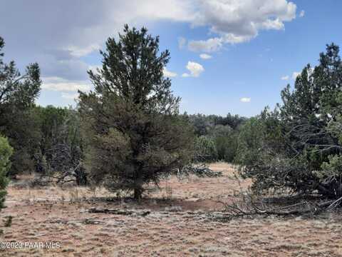 54477 N Shadow Mountain Circle, Seligman, AZ 86337