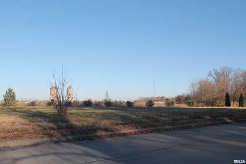 Lot 39 N WASHINGTON Street, Carbondale, IL 62901