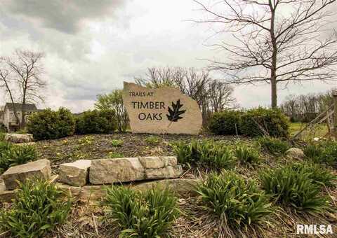 Lot 201 Mossy Trail, Morton, IL 61550