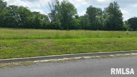 Lot 2 FINANCIAL Park, Carbondale, IL 62901