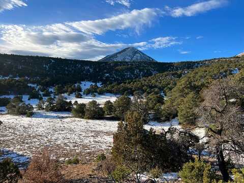 Lot 217 Colorado Land and Grazing, Gardner, CO 81040