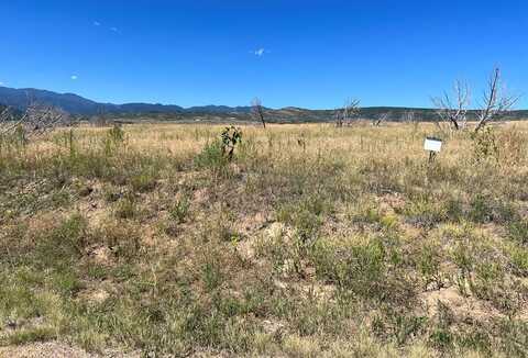 TBD Good Pasture Dr, Beulah, CO 81023