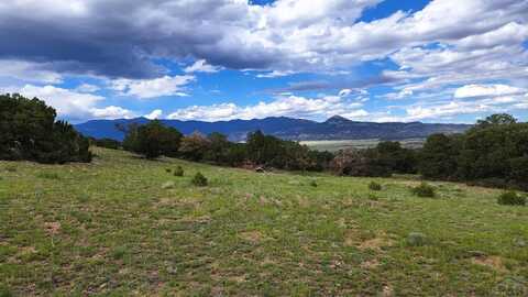 Lots 1,2 Colorado Land and Grazing, Gardner, CO 81040