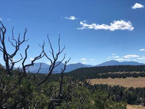 31 Acres CR 634.2, Gardner, CO 81040