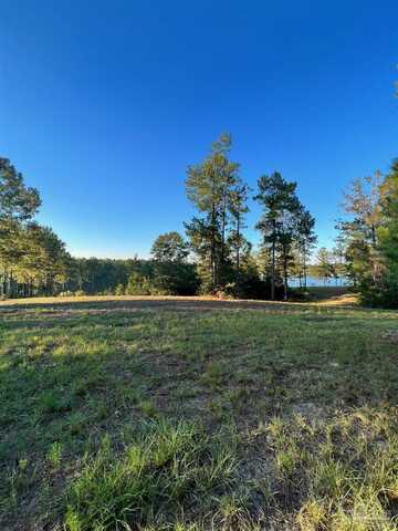 Lake Juniper Rd, Brewton, AL 36426