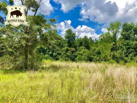 Lot 78 Br Cold Springs Dr, Pace, FL 32571