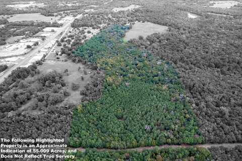 55Acres South Us Highway 79 / Brookhollow Dr, PALESTINE, TX 75801