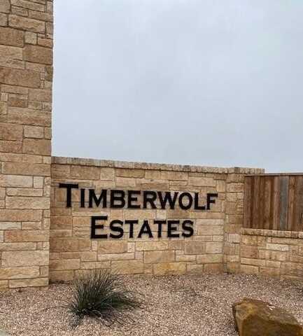 3613 Timber Wolf Trail, Midland, TX 79705