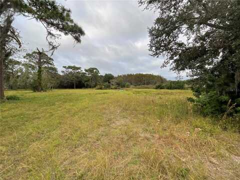 15611 PHILLIPS ROAD, ODESSA, FL 33556