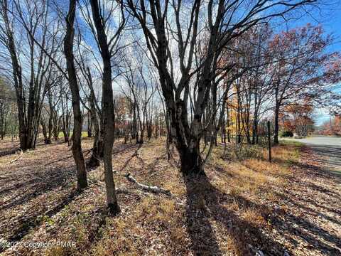 EP1592 Chippewa Trail & Hiawatha Trl Trail, Albrightsville, PA 18210