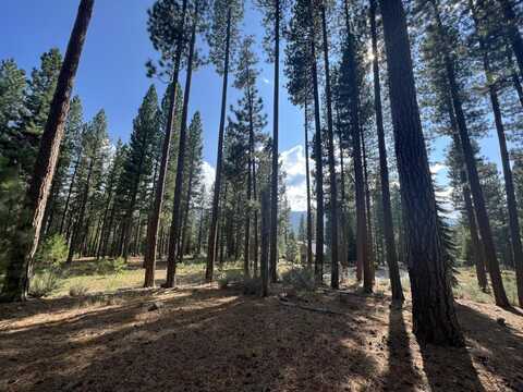 655 Bobcat Trail, Clio, CA 96106