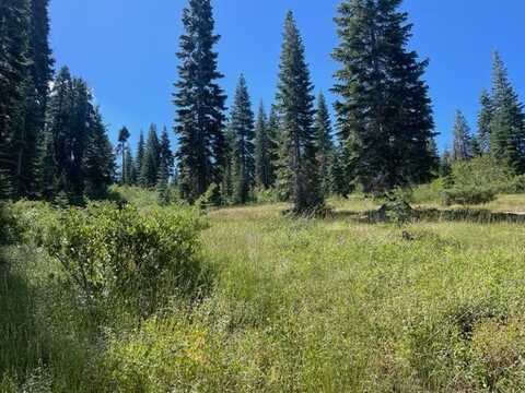 Big Creek Road, Bucks Lake, CA 95971