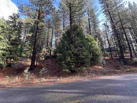 25 Maidu Trail, Graeagle, CA 96103