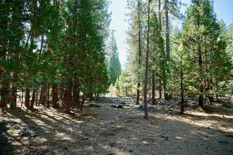 8 Huchnom Trail, Graeagle, CA 96103