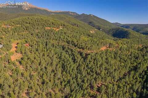 165 Witherite Drive, Divide, CO 80814