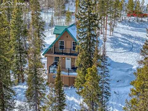 436 Golden Hills Road, Alma, CO 80420