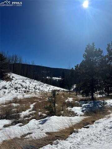 212 Wolftone Drive, Cripple Creek, CO 80813