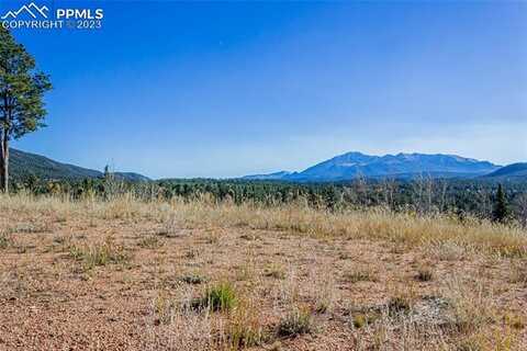 300 Apache Trail, Woodland Park, CO 80863