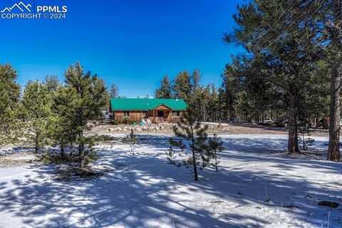 141 Cabin Lane, Guffey, CO 80820