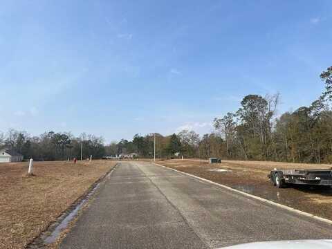 NHN Lot 71 Mamie Circle, Picayune, MS 39466