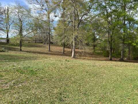 00 Lakeshore Dr., Carriere, MS 39426