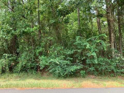 NHN Lot 1282 Rollingwood Dr, Carriere, MS 39426