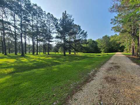 0 Thompson Lane, Carriere, MS 39426