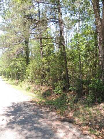 198 A Hammock, Carriere, MS 39426