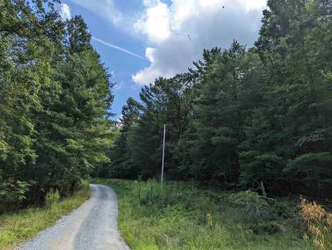 0 Twin Springs RD #10, Mineral Bluff, GA 30559