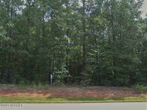 Lot 159 Tbd North State Lane, Rockingham, NC 28379