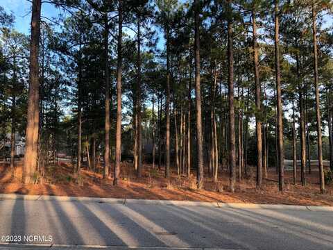 115 Kings Ridge Court, Southern Pines, NC 28387